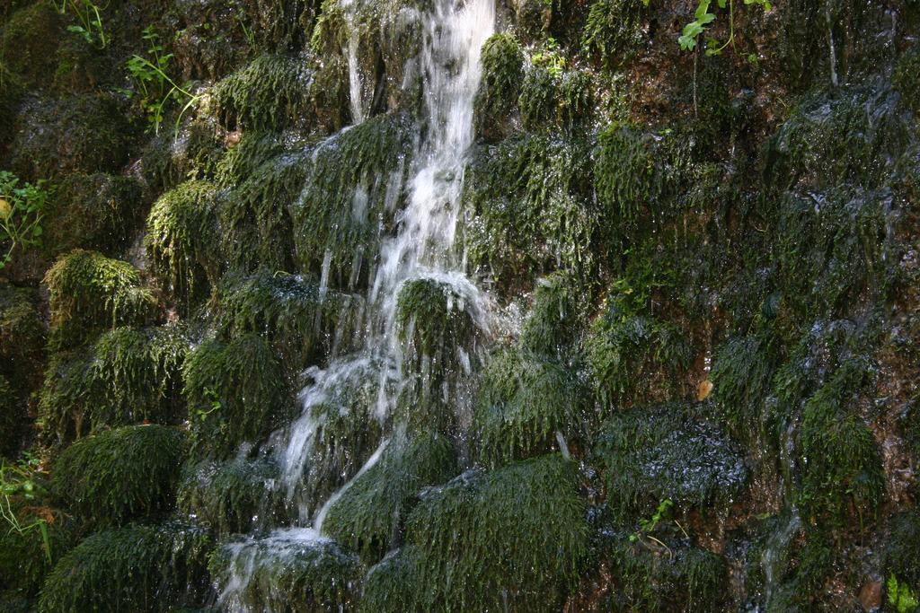 Alojamiento Rural Sierra De Gudar Valbona Exterior photo